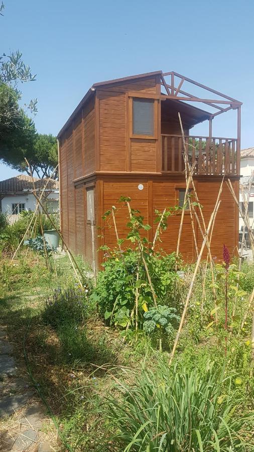 Casa De Madera De Sancti Petri Vila Chiclana de la Frontera Exterior foto